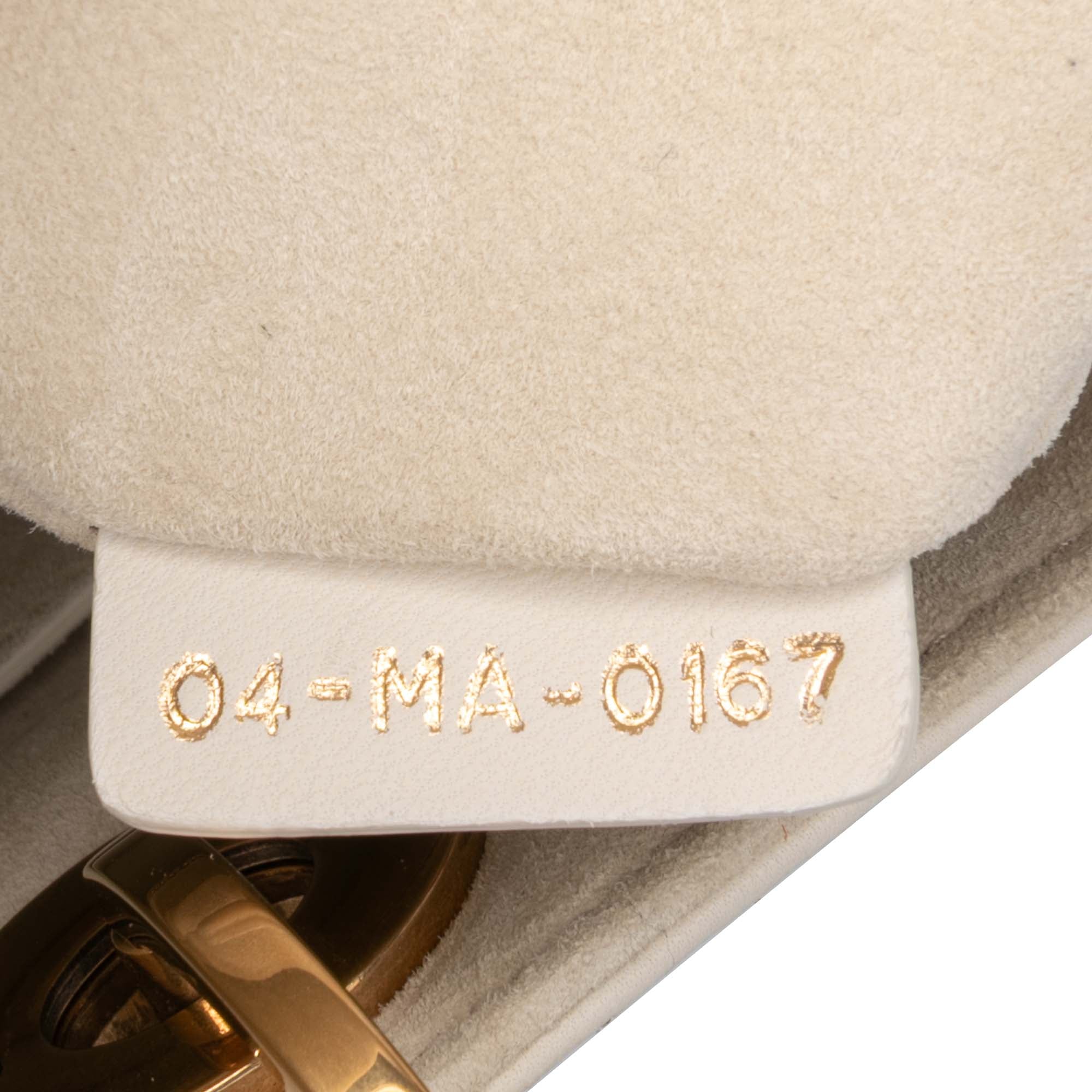 Medium Calfskin Embroidered Astrology Lady Dior