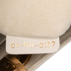 Medium Calfskin Embroidered Astrology Lady Dior