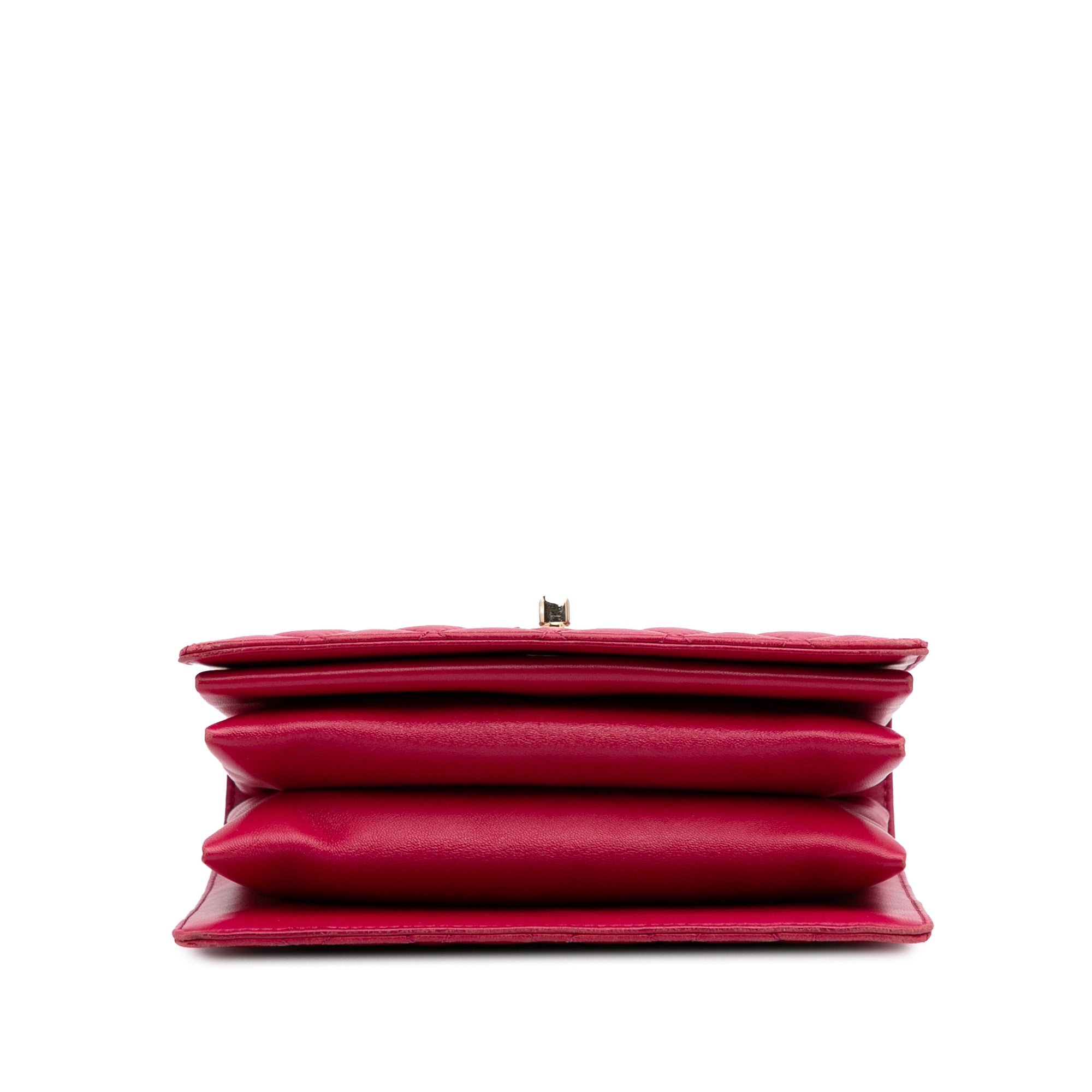 Small Quilted Lambskin Citizen Chic Flap