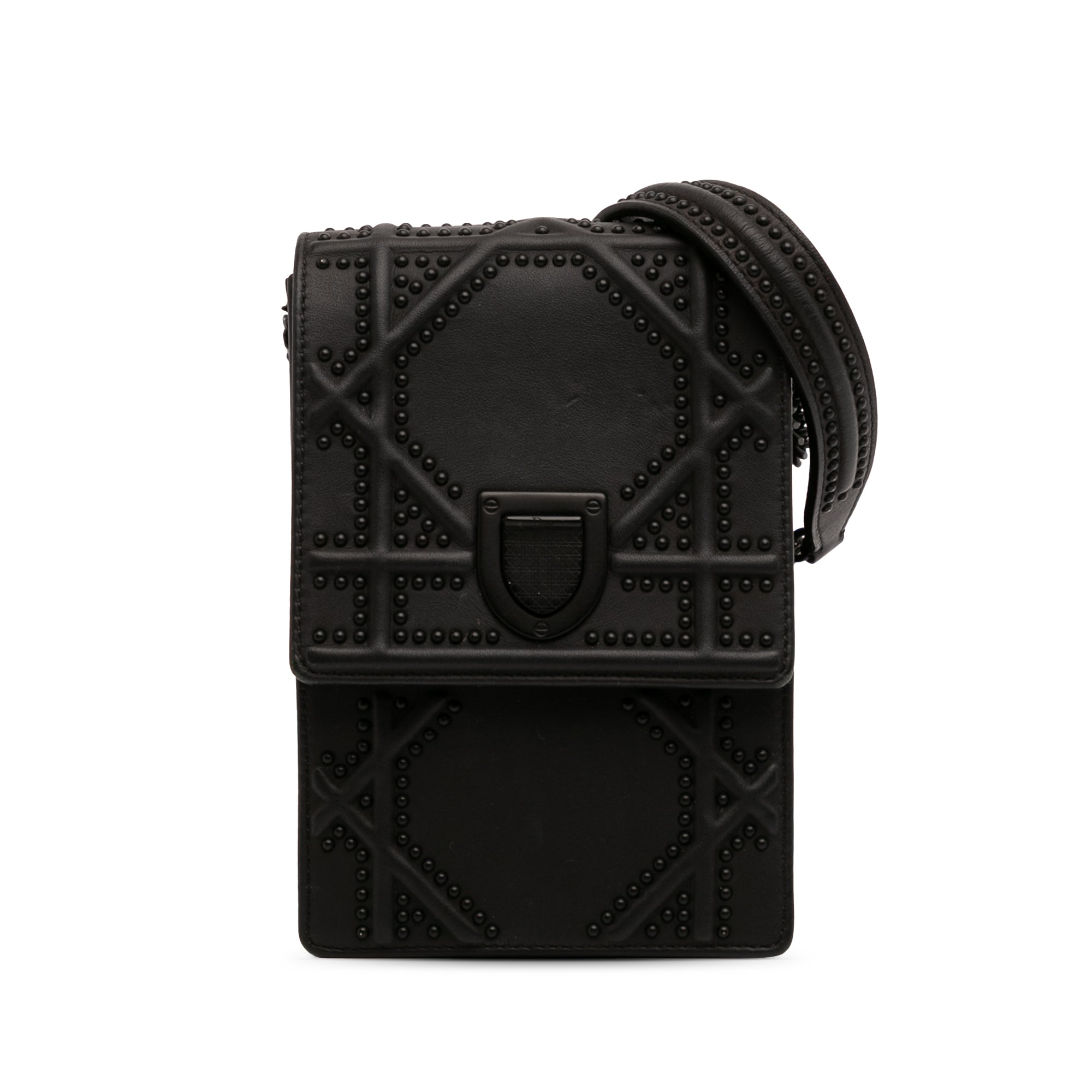 Ultra Matte Calfskin Studded Vertical Diorama