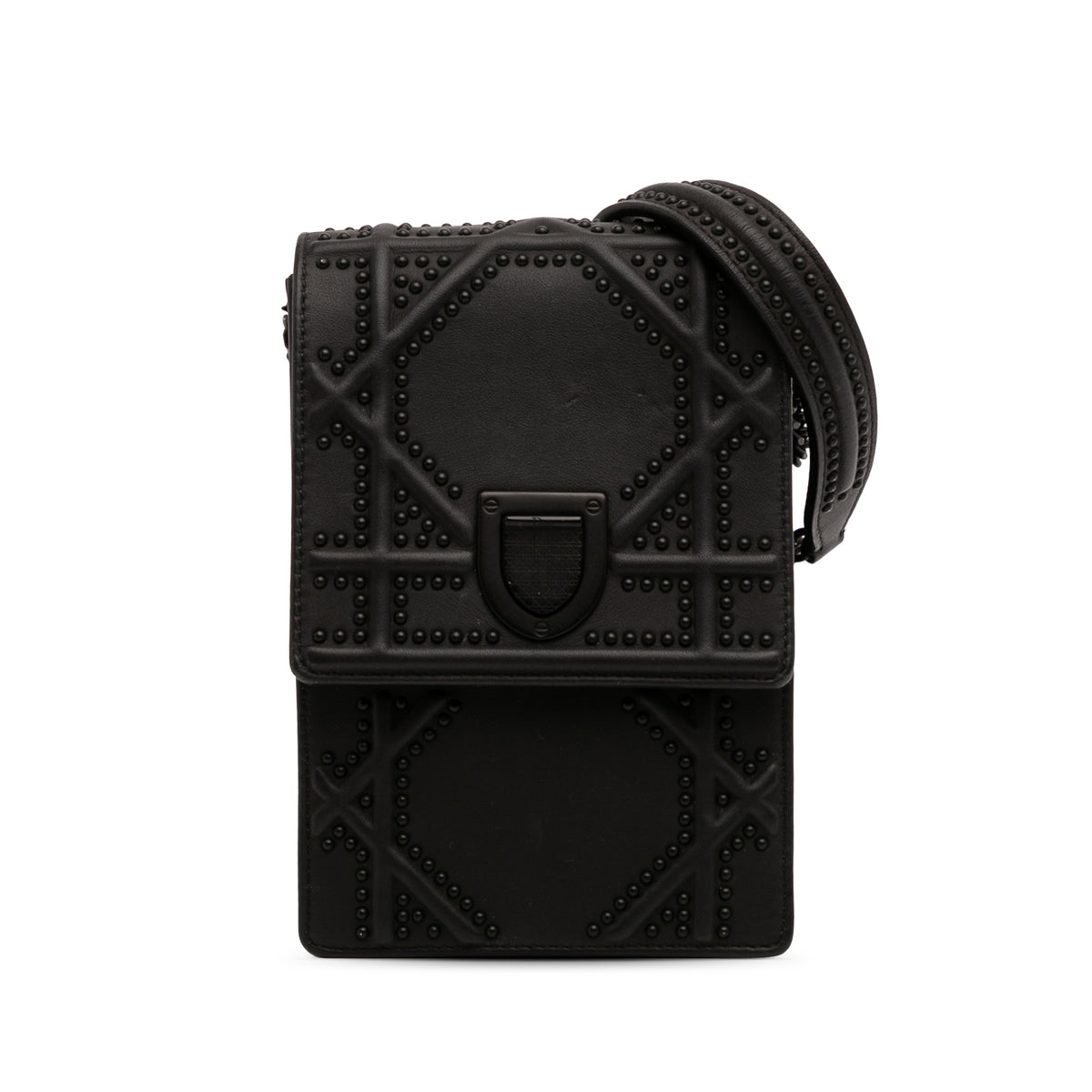 Ultra Matte Calfskin Studded Vertical Diorama