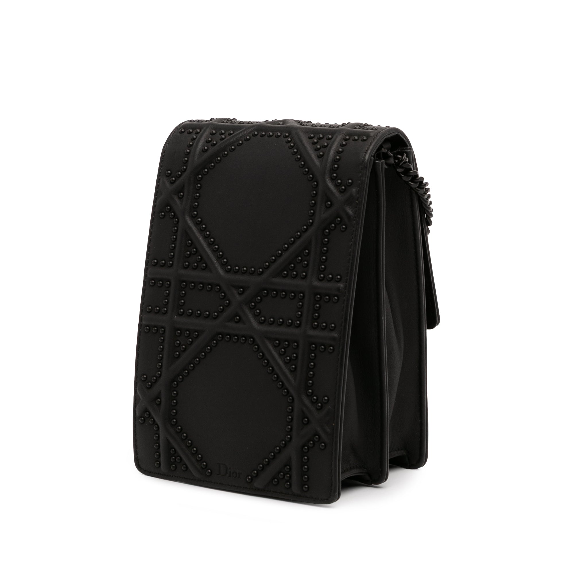 Ultra Matte Calfskin Studded Vertical Diorama