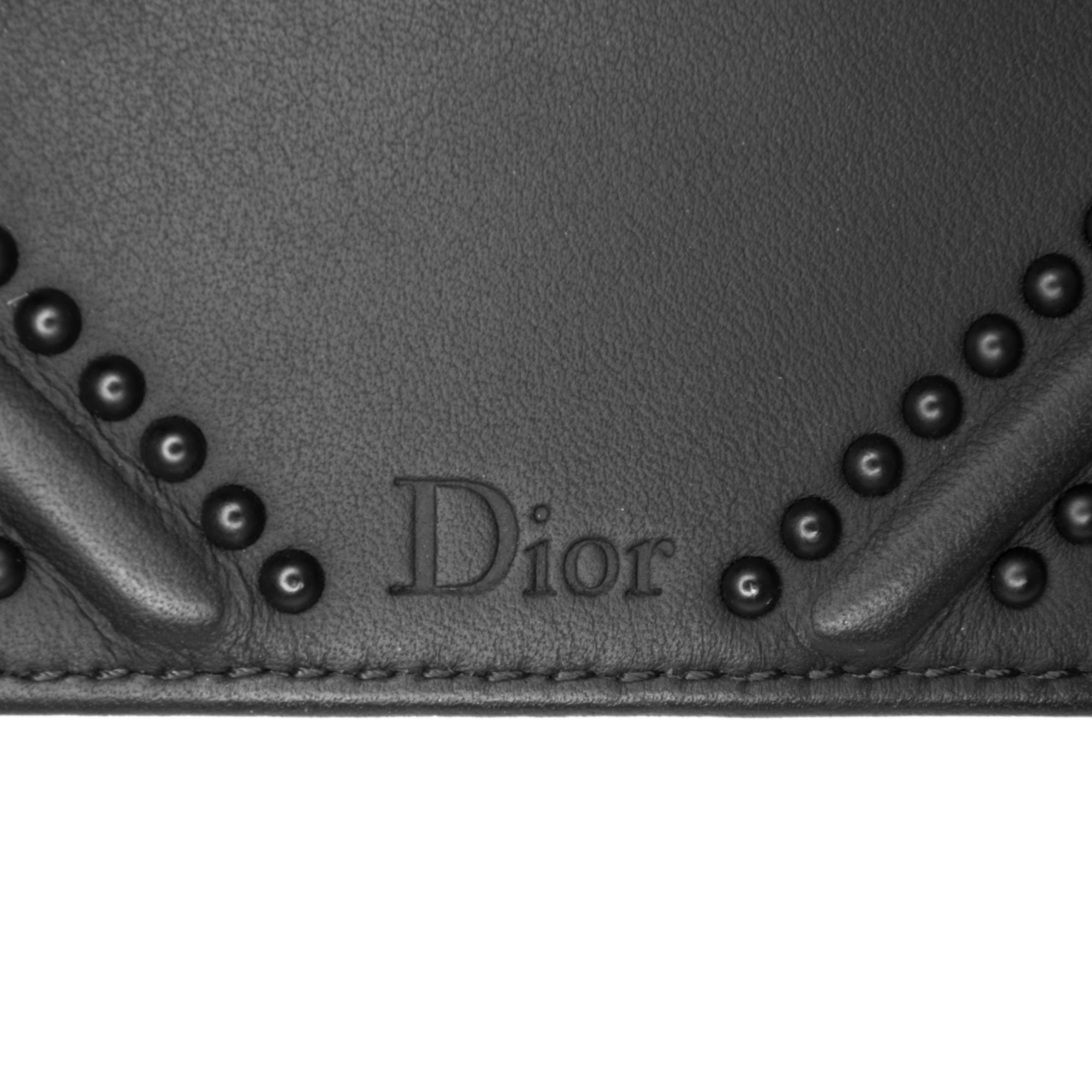 Ultra Matte Calfskin Studded Vertical Diorama