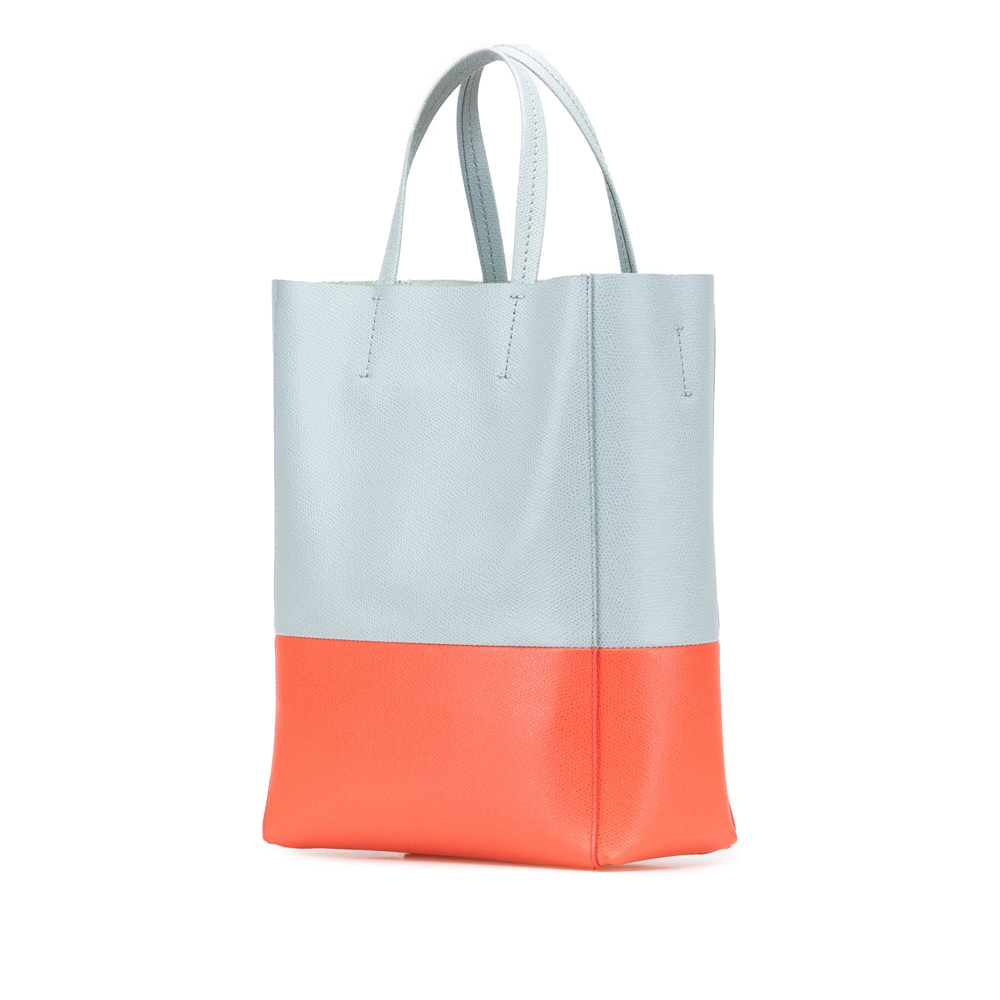 Small Bicolor Leather Vertical Cabas