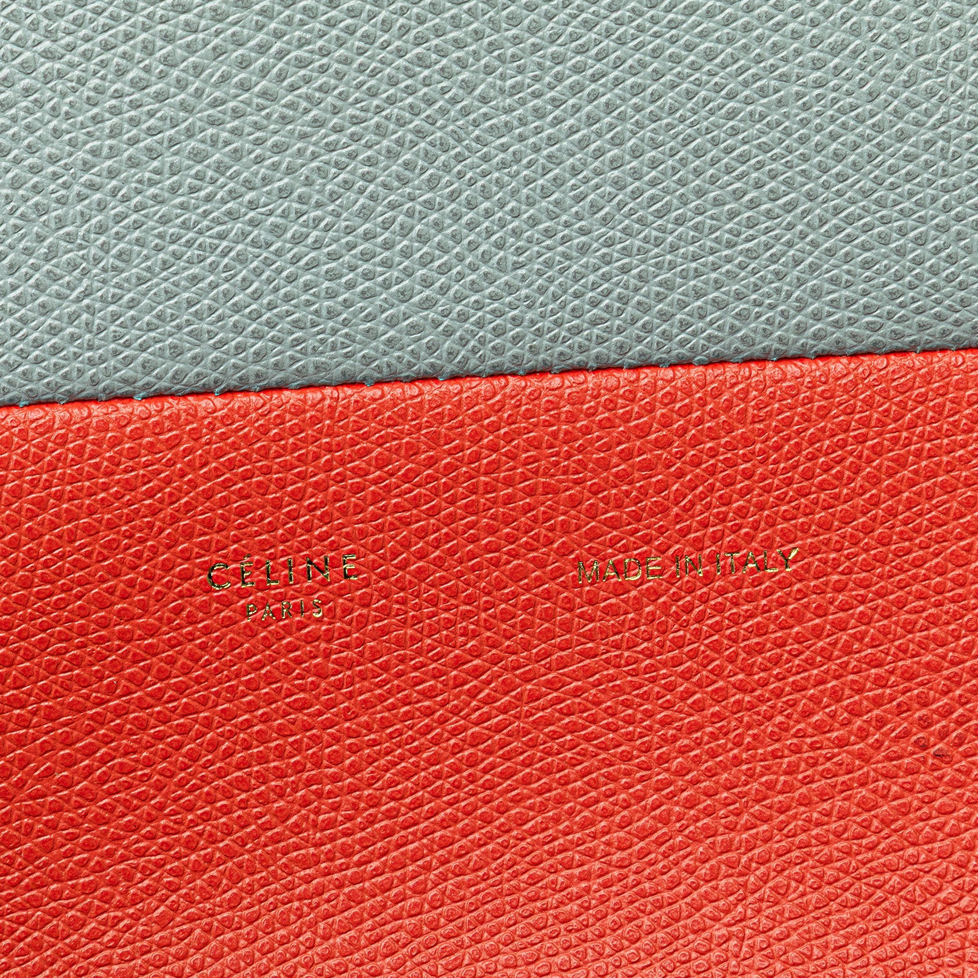 Small Bicolor Leather Vertical Cabas