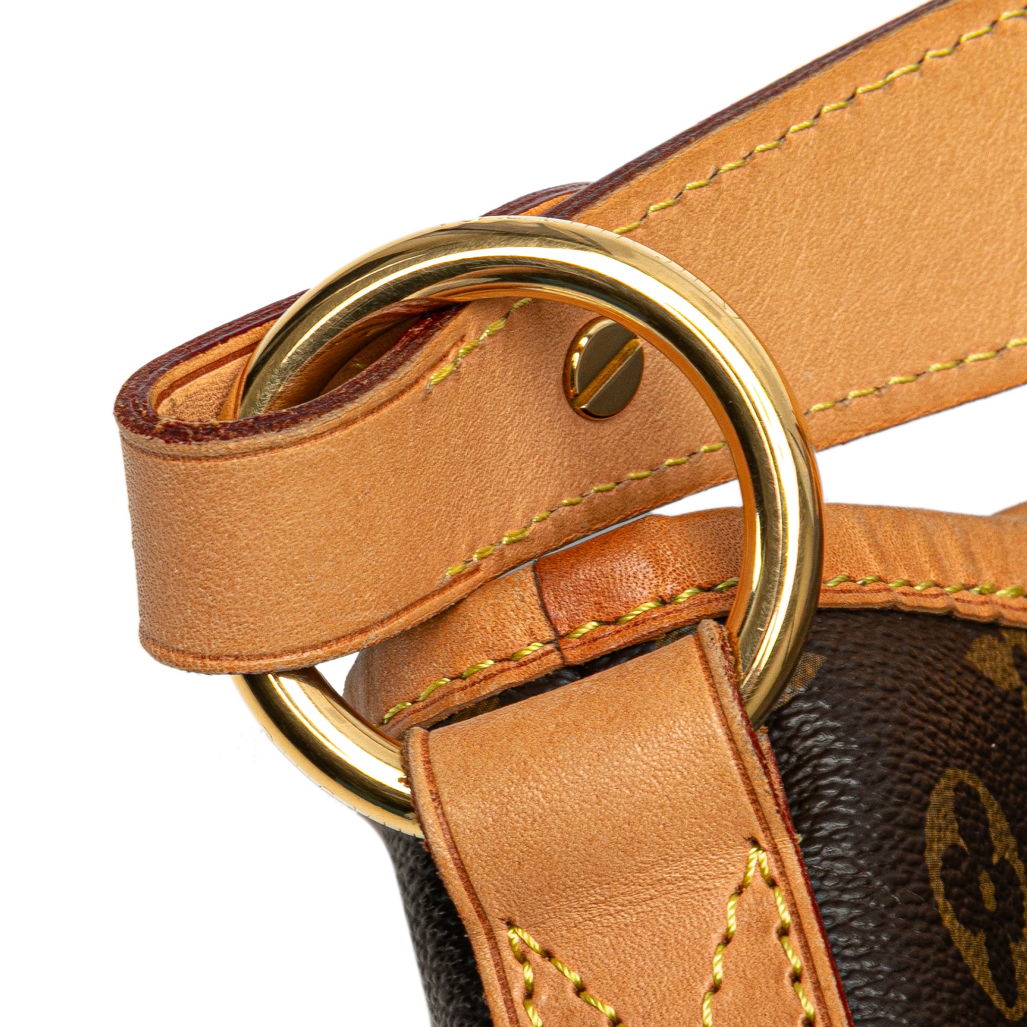 Monogram Delightful MM