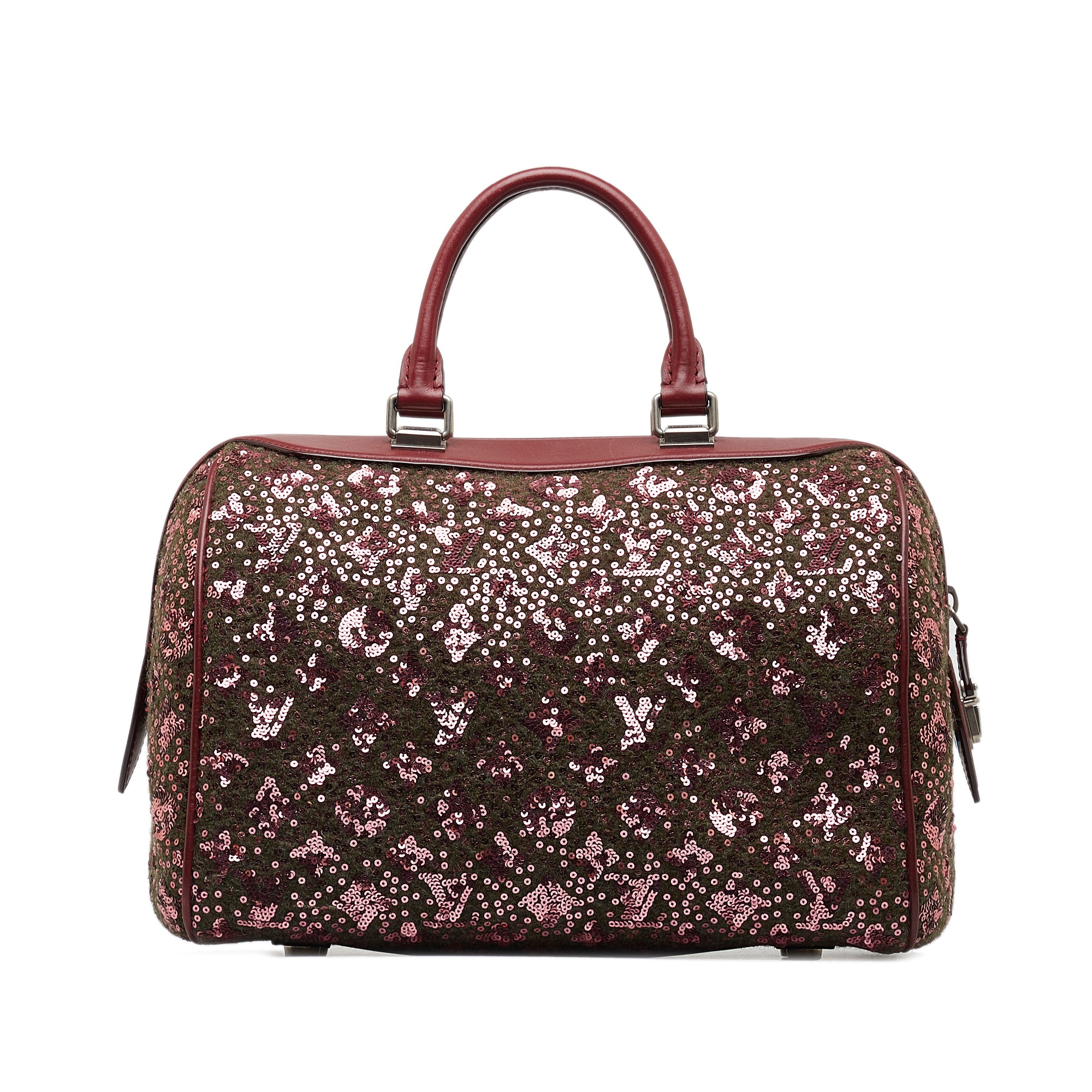 Monogram Sunshine Express Speedy 30_2