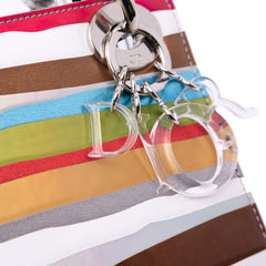 Wang Guangle Mini PVC Technical Fabric Lady Dior