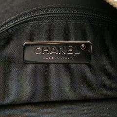 CC Quilted Lambskin Chain Camera Bag