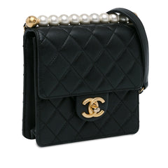 Small Lambskin Chic Pearls Flap_1