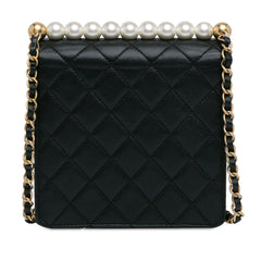 Small Lambskin Chic Pearls Flap_2