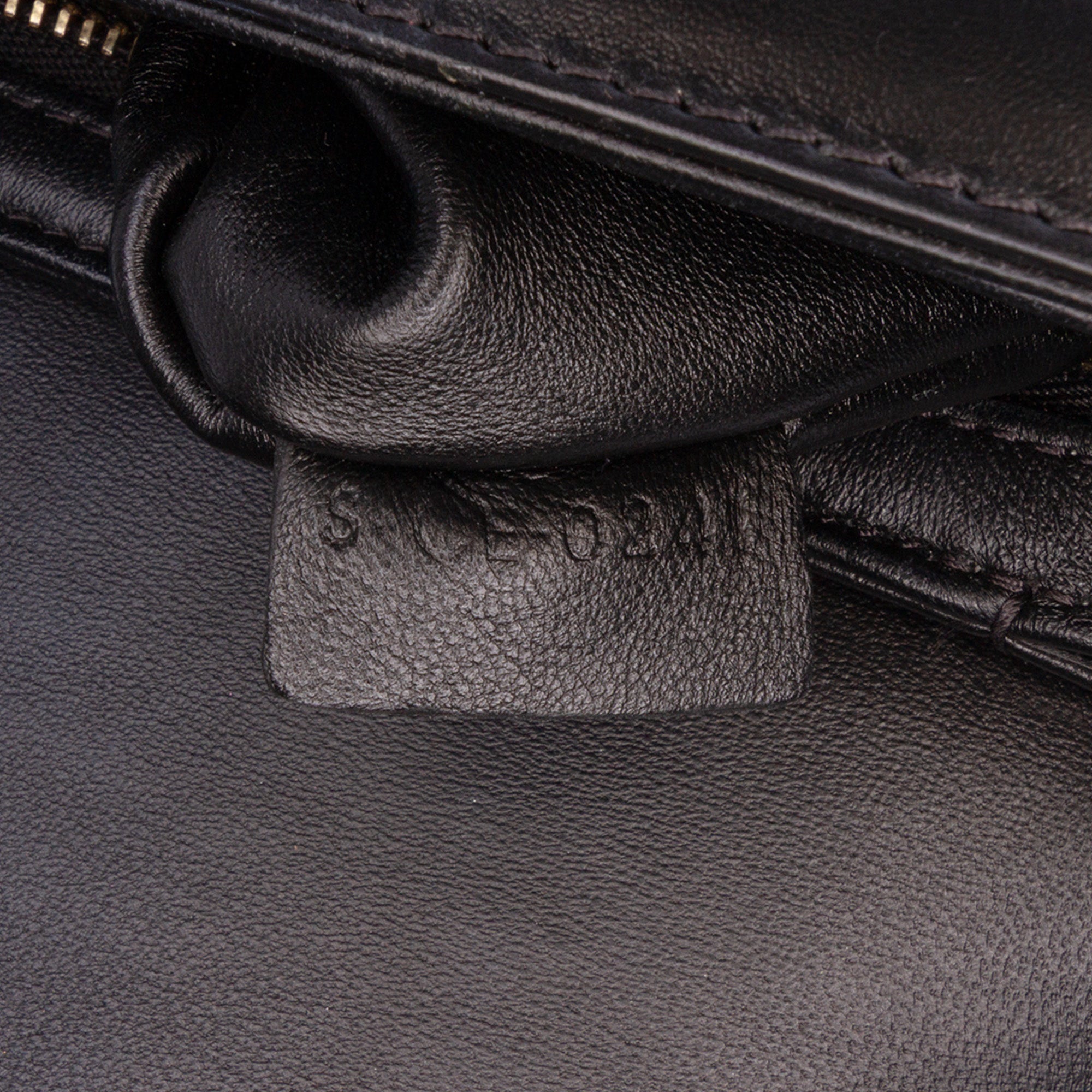 Teen Embroidered Canvas and Calfskin Triomphe Crossbody