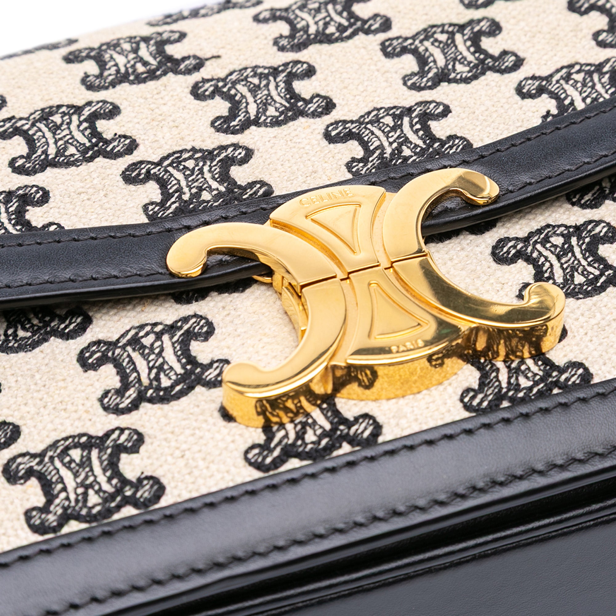 Teen Embroidered Canvas and Calfskin Triomphe Crossbody
