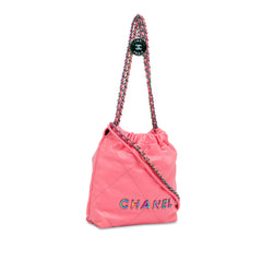Mini Shiny Calfskin Rainbow Hardware 22 Handbag