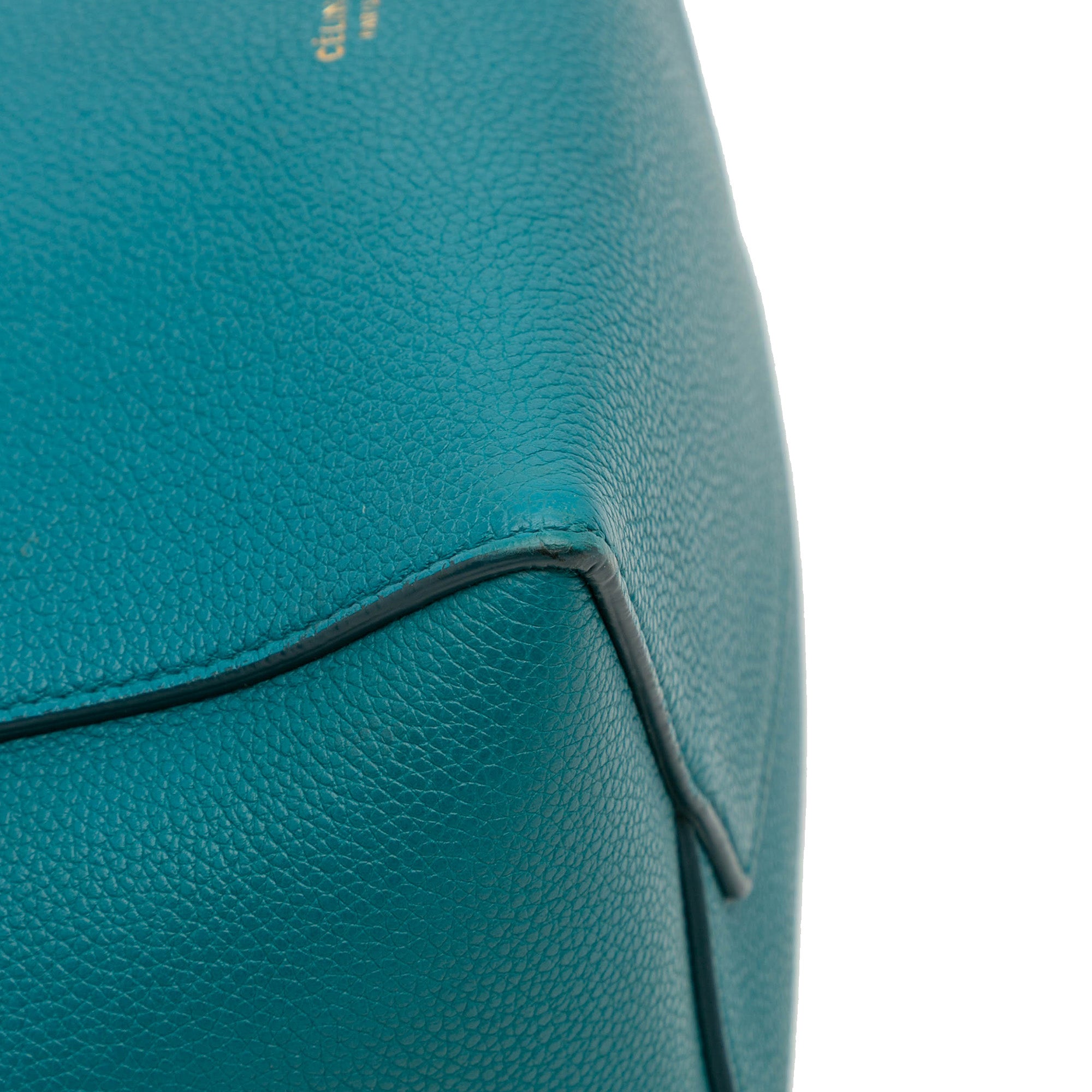 Small Soft Grained Calfskin Seau Sangle Bucket Bag