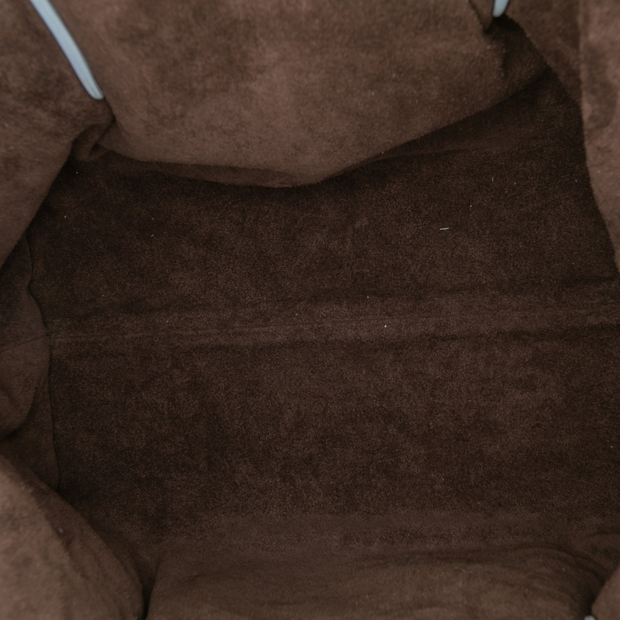 Small Calfskin Intrecciato Pinacoteca Tote