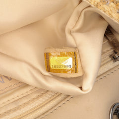 Small Raffia Sequin Single Flap