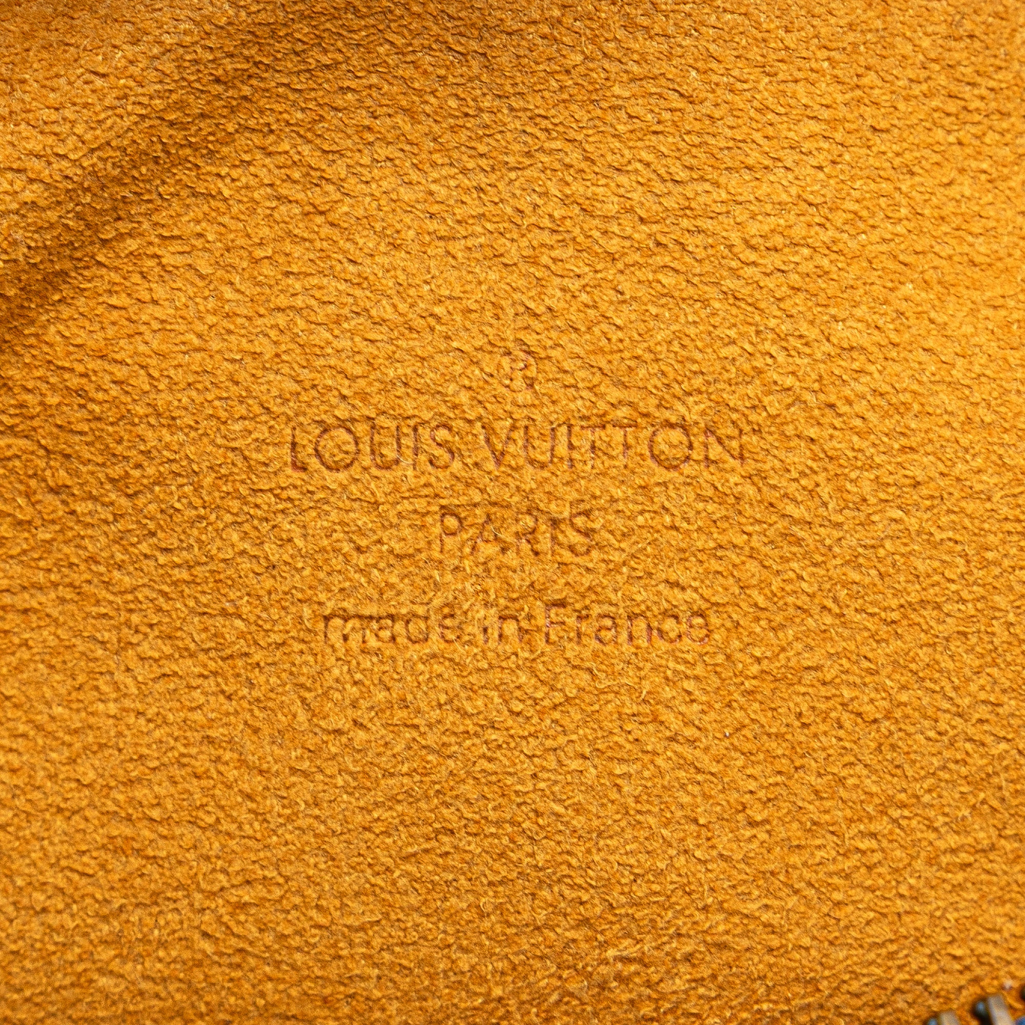 Monogram Denim Camera Bag