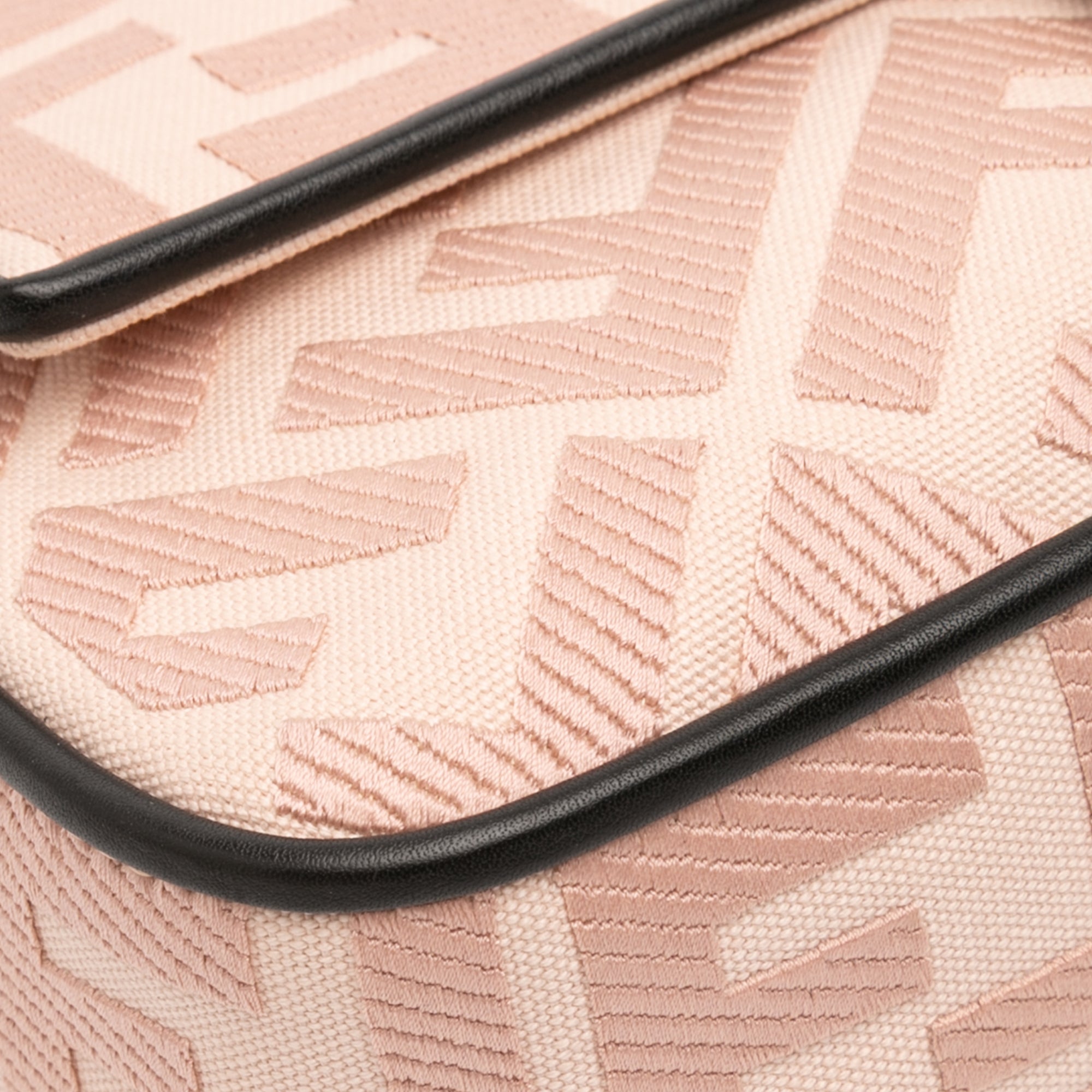 Zucca Embroidered Canvas Baguette Satchel