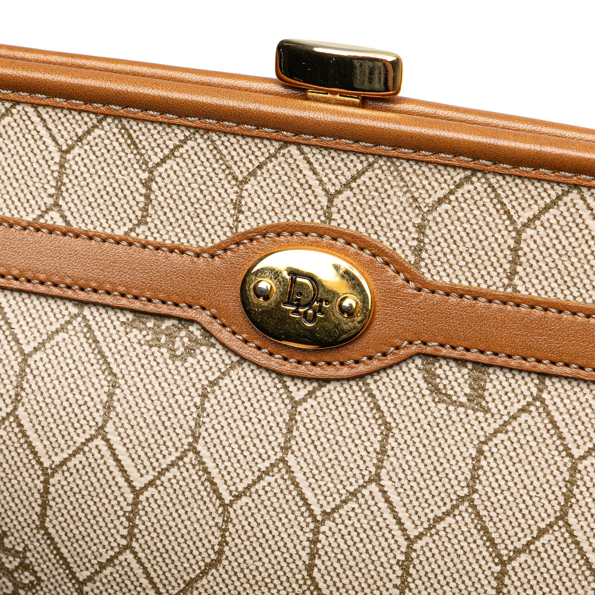 Honeycomb Coated Canvas Clutch