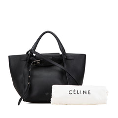 Small Grained Calfskin Big Bag