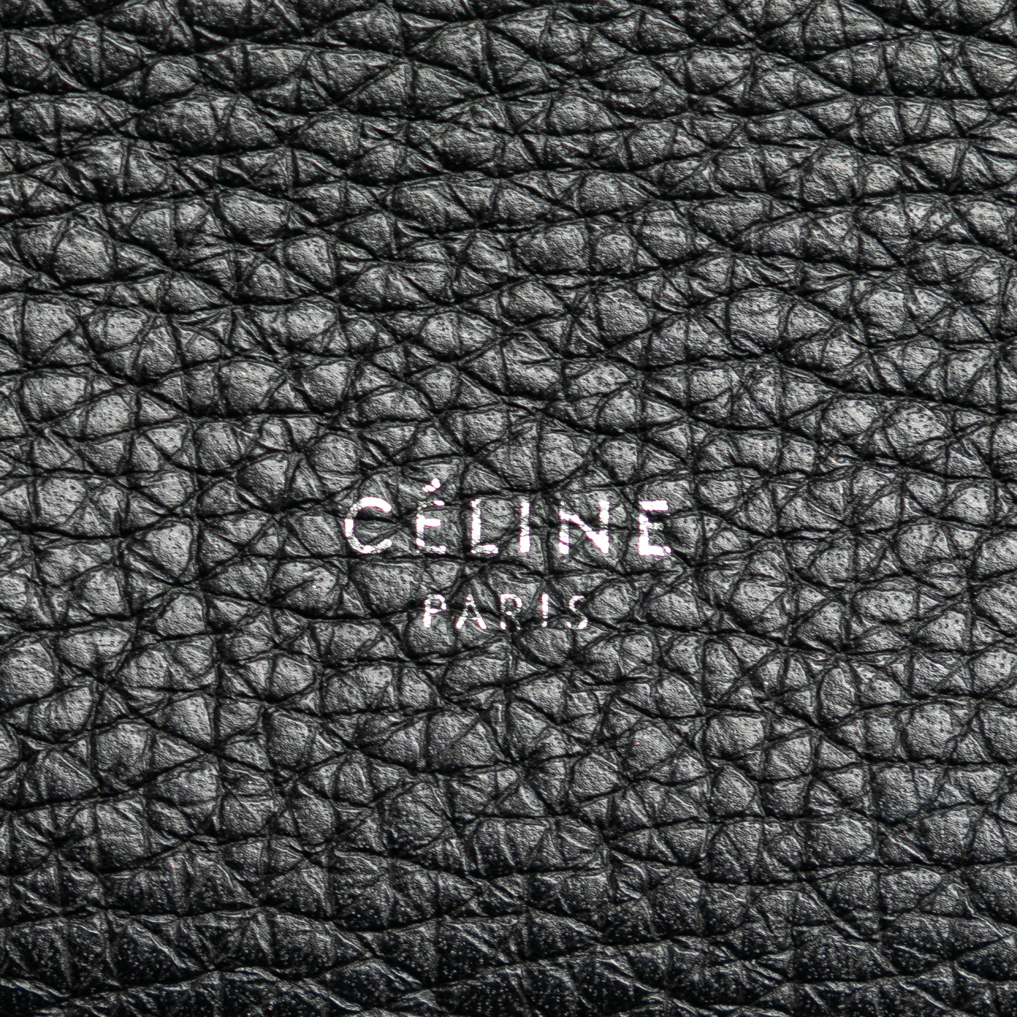Small Grained Calfskin Big Bag