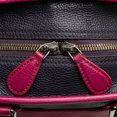 Grained Bicolor Calfskin Cruz Satchel