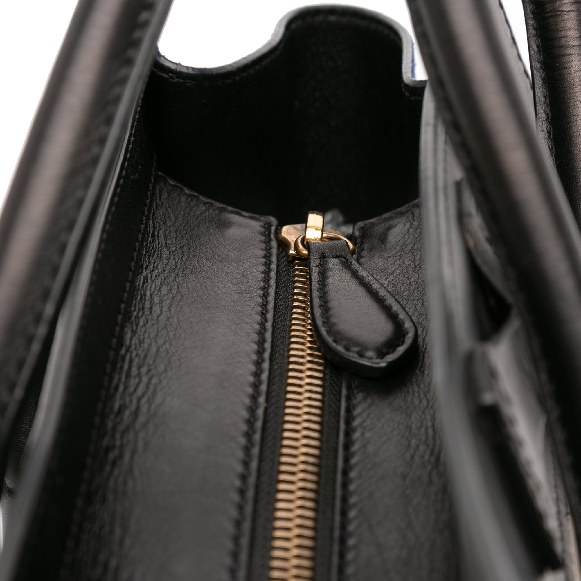 Micro Tricolor Leather Luggage Tote