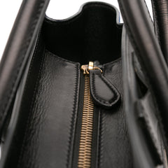 Micro Tricolor Leather Luggage Tote