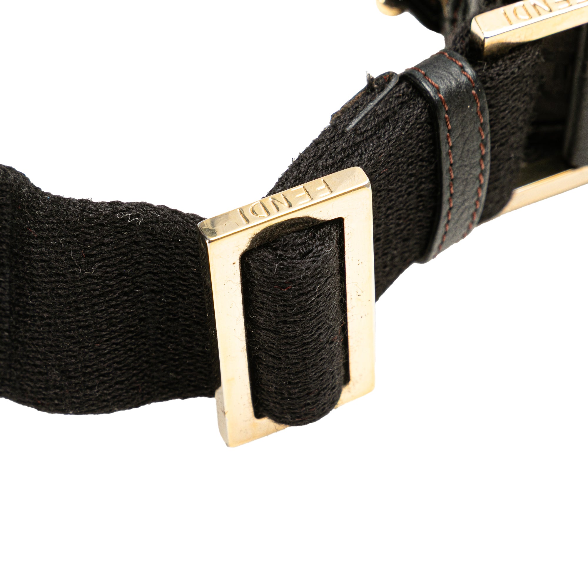 Small Zucchino Canvas F Charm Crossbody