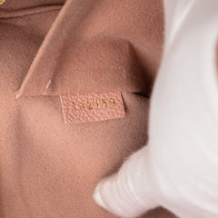 Damier Azur Daily Pouch