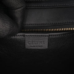 Nano Bicolor Leather Luggage Tote