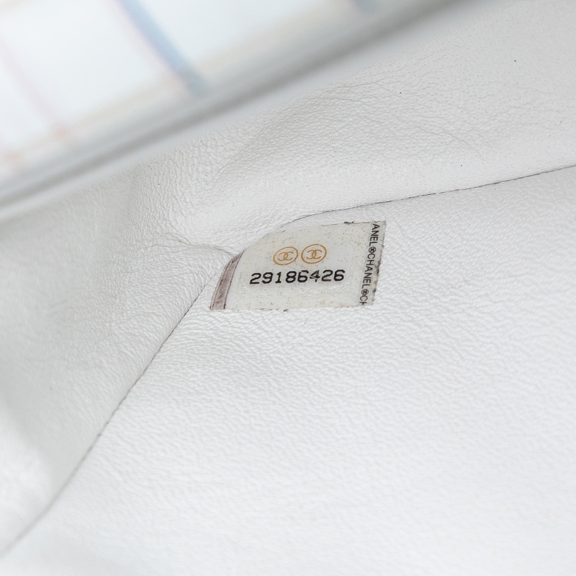 Mini Rectangular Classic Printed Calfskin Single Flap