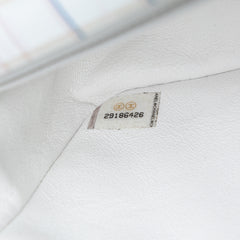 Mini Rectangular Classic Printed Calfskin Single Flap