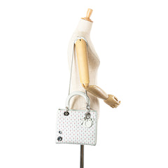 Medium Calfskin Embroidered Flower Lady Dior