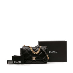 Maxi Lambskin 19 Flap