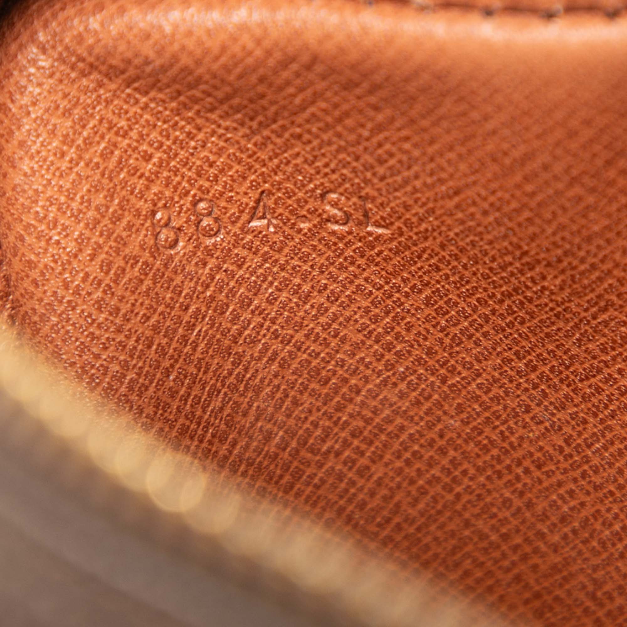 Monogram Mini Danube