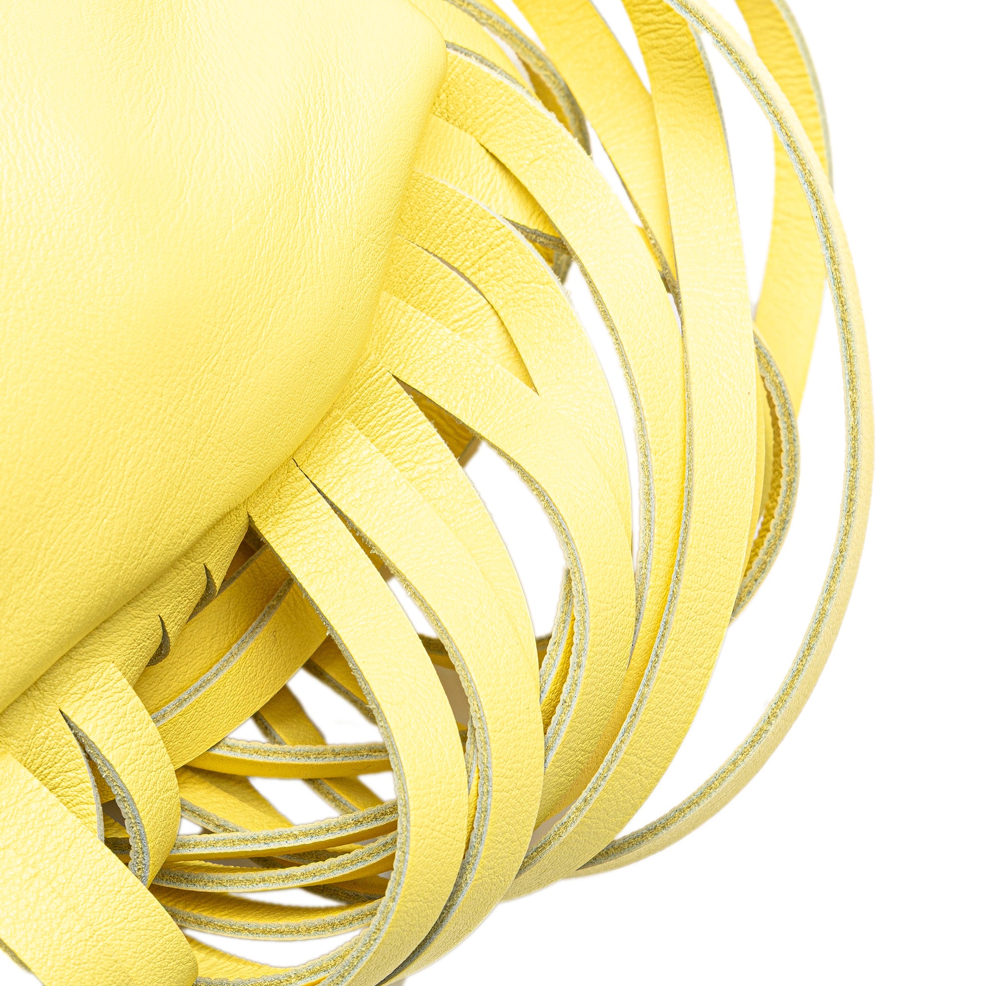 Lambskin The Fringe Pouch