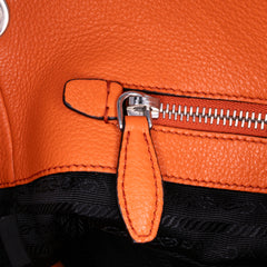 Vitello Daino Bucket Bag