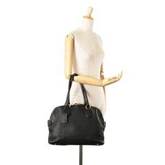 Pebbled Leather Selleria Dome Shoulder Bag