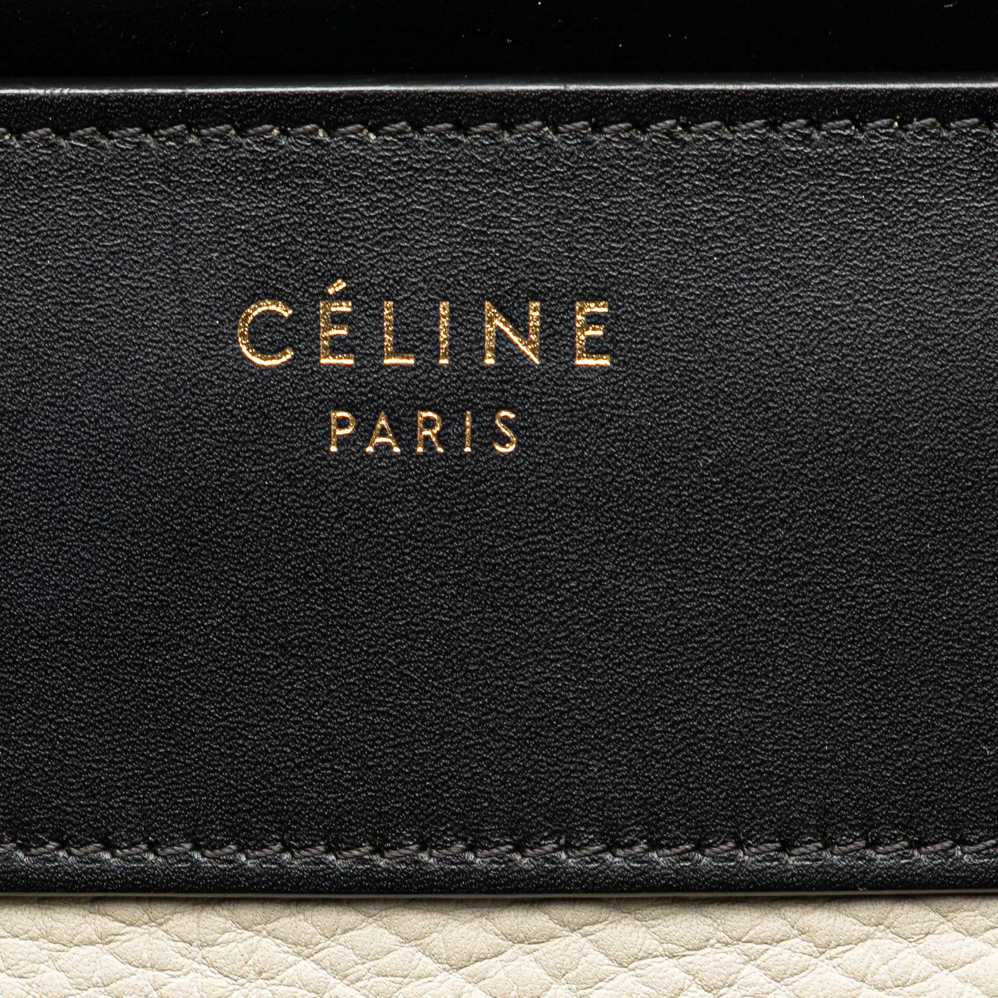 Mini Tricolor Calfskin Luggage Tote