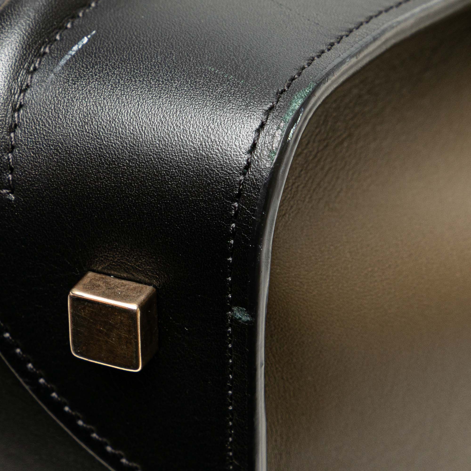 Mini Tricolor Calfskin Luggage Tote