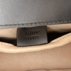 Mini Leather Web Sylvie Chain Crossbody