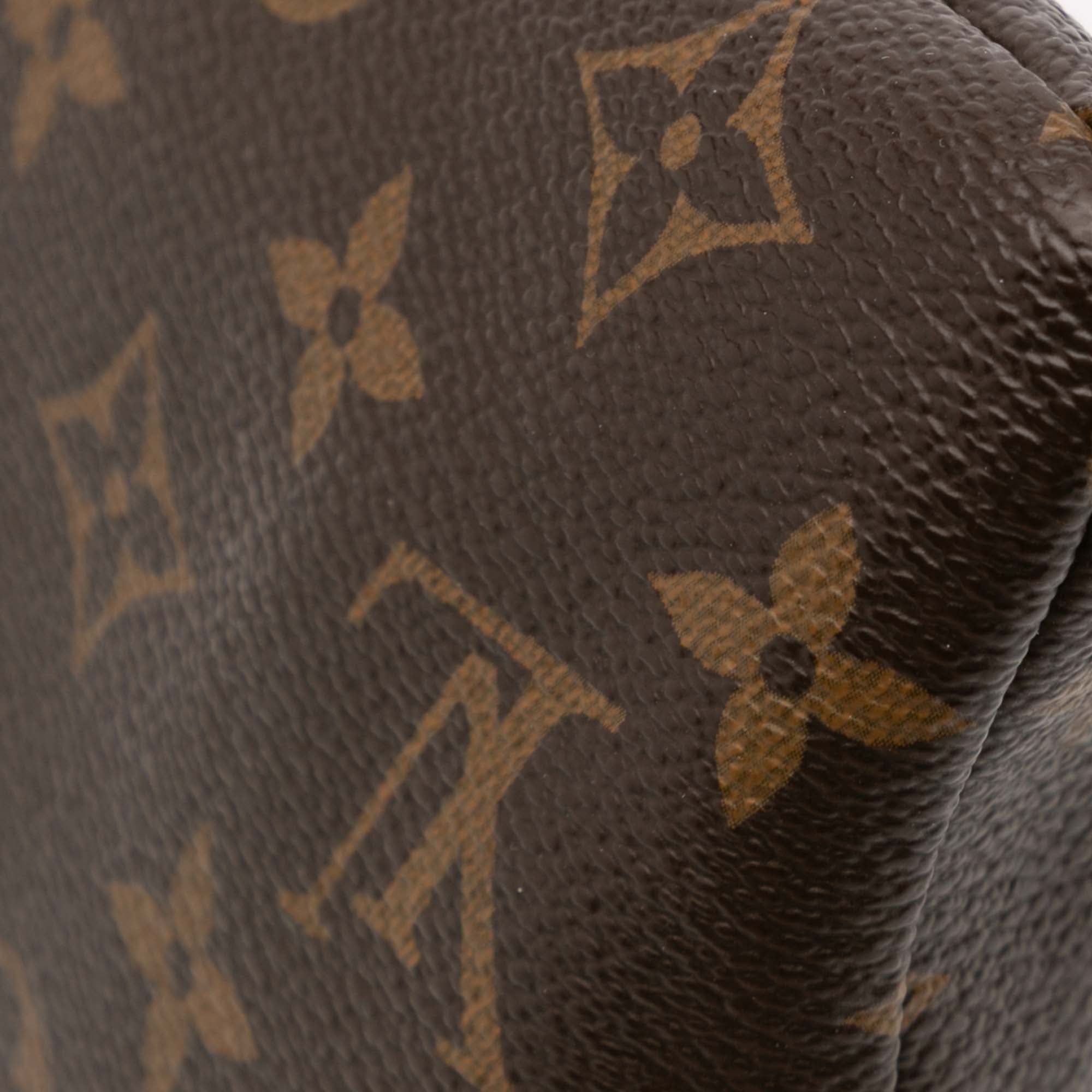 Monogram Daily Pouch