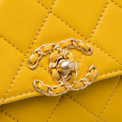 Quilted Lambskin Chain Infinity Top Handle Flap_8