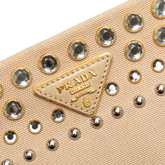 Canvas Canapa Studded Vernice Clutch