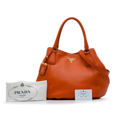 Vitello Daino Satchel