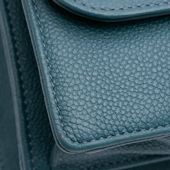 Medium Grained Calfskin Diorama Satchel