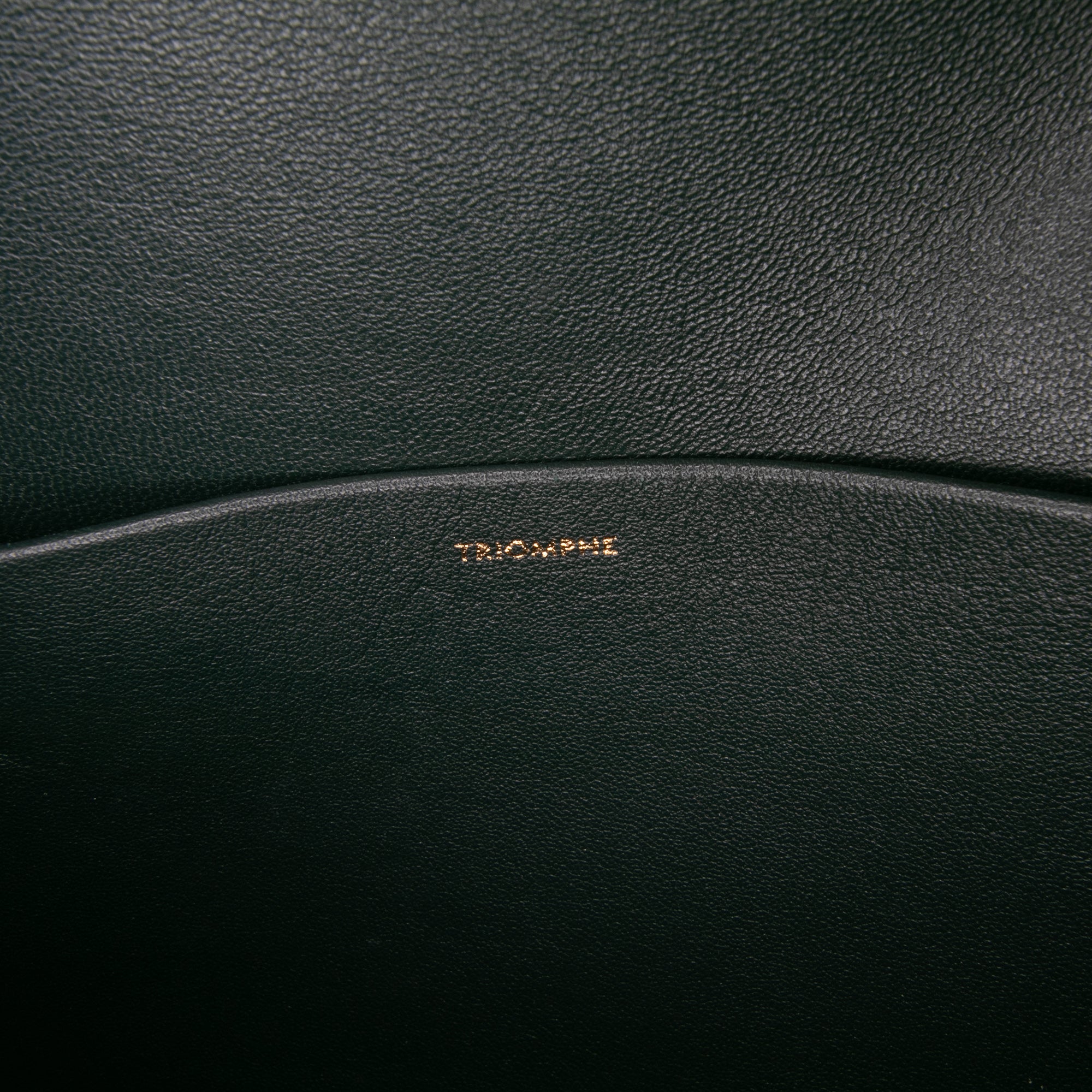 Classique Shiny Calfskin Triomphe Crossbody
