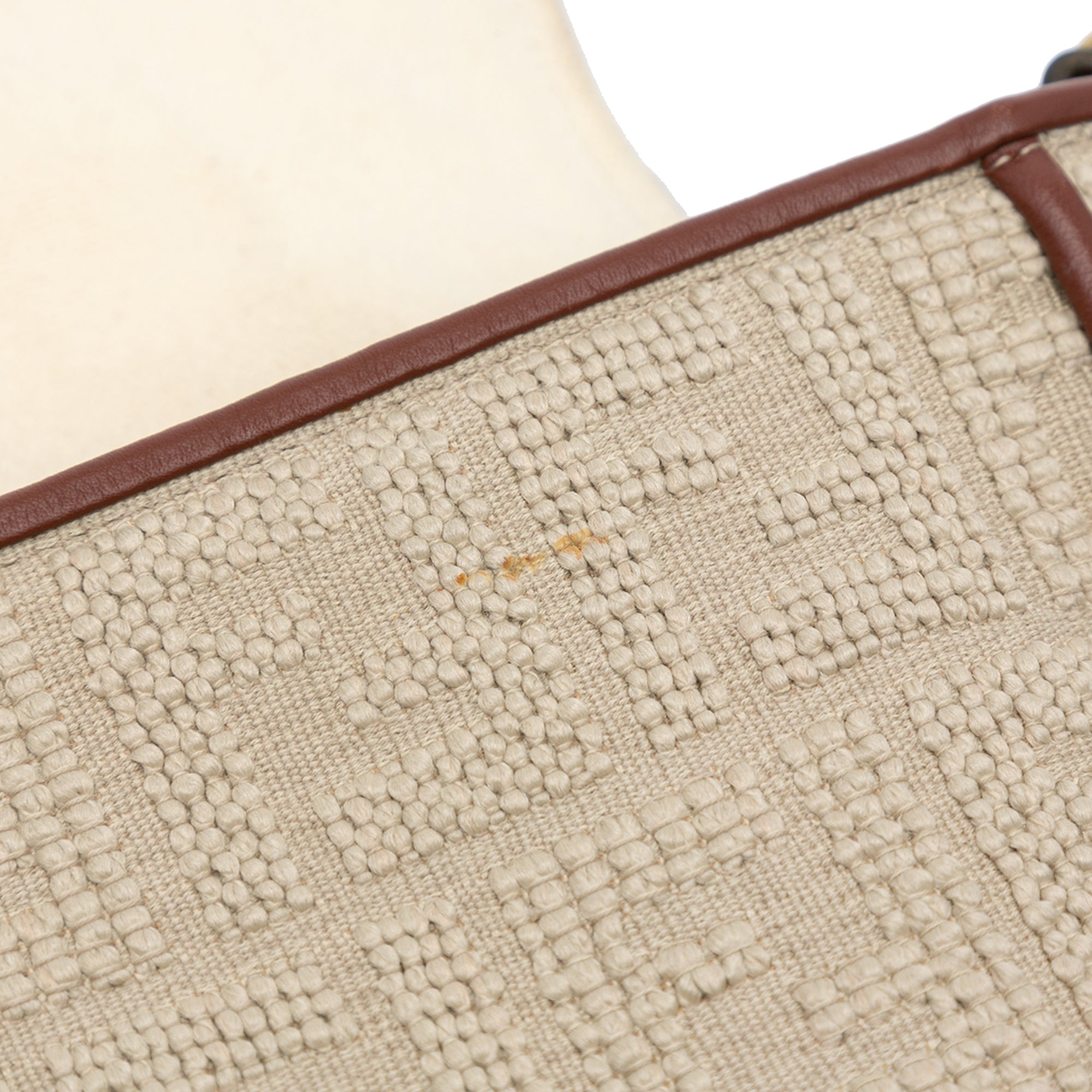 Zucca Embroidered Canvas Baguette Satchel